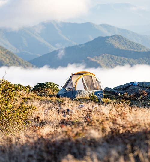 camp 3.jpg